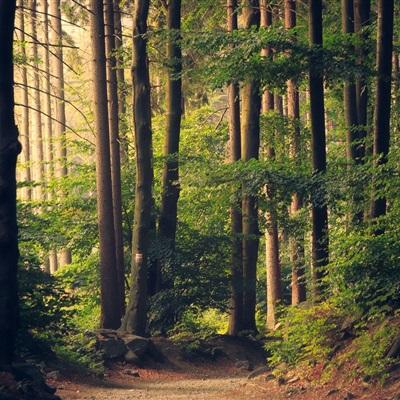 买大小单双彩票app